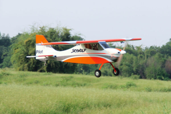 Pilot-RC-Skywolf-29-1024x683