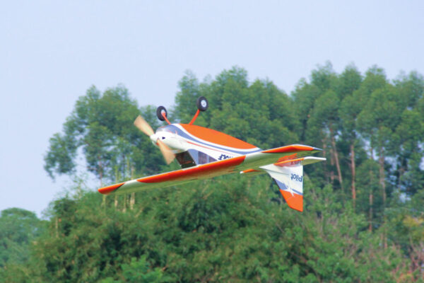Pilot-RC-Skywolf-29-1024x683