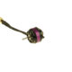 A10-15S-kv2320-97100008_b_0