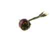 A10-12S-kv2900-97100006_b_1 A10-12S-kv2900-97100006_b_1