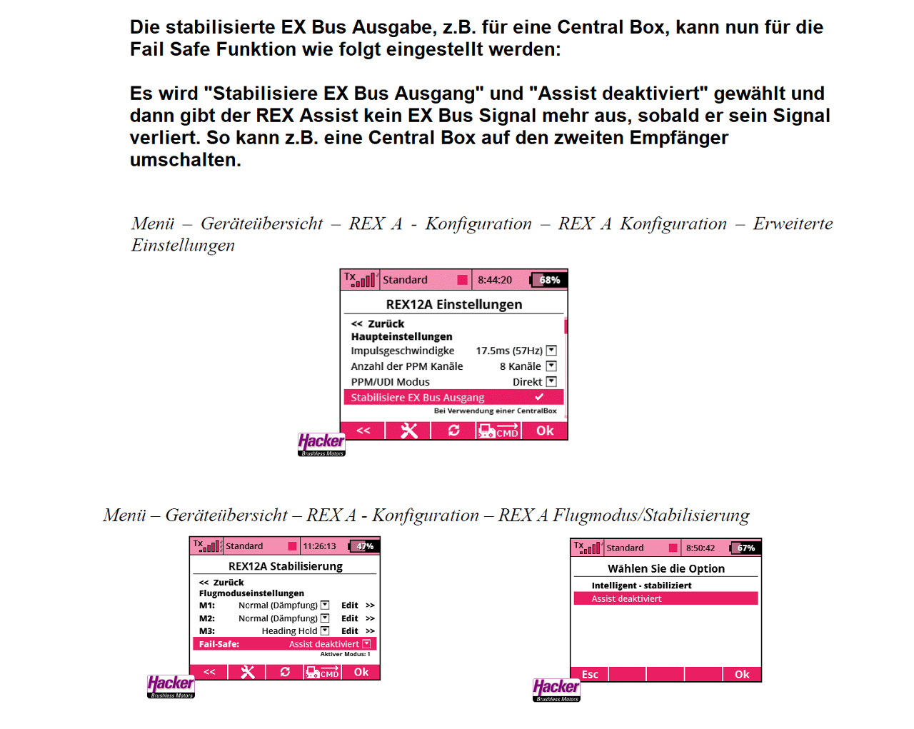 DUPLEX-2-4EX-Empfaenger-REX-6-Assist-80001241_b_1