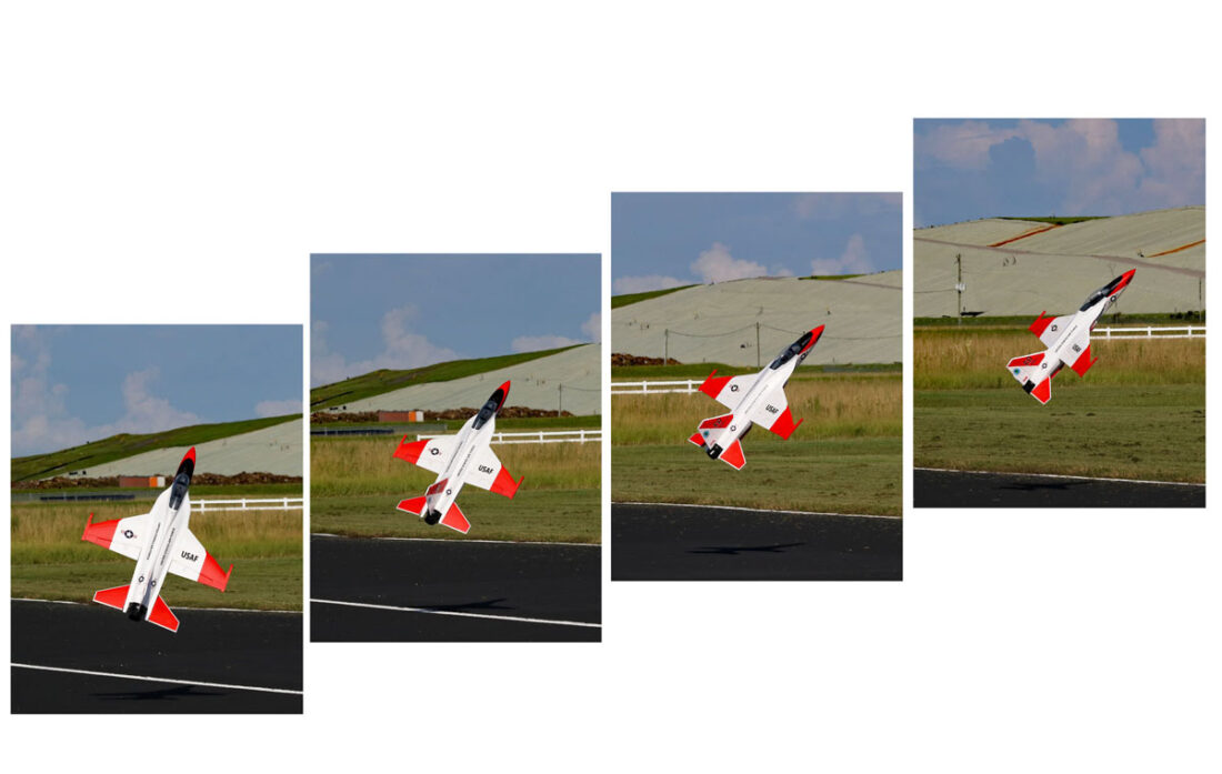 Gallery_Harrier_Collage_1200-1100x697