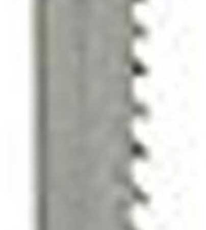 9704945.jpg