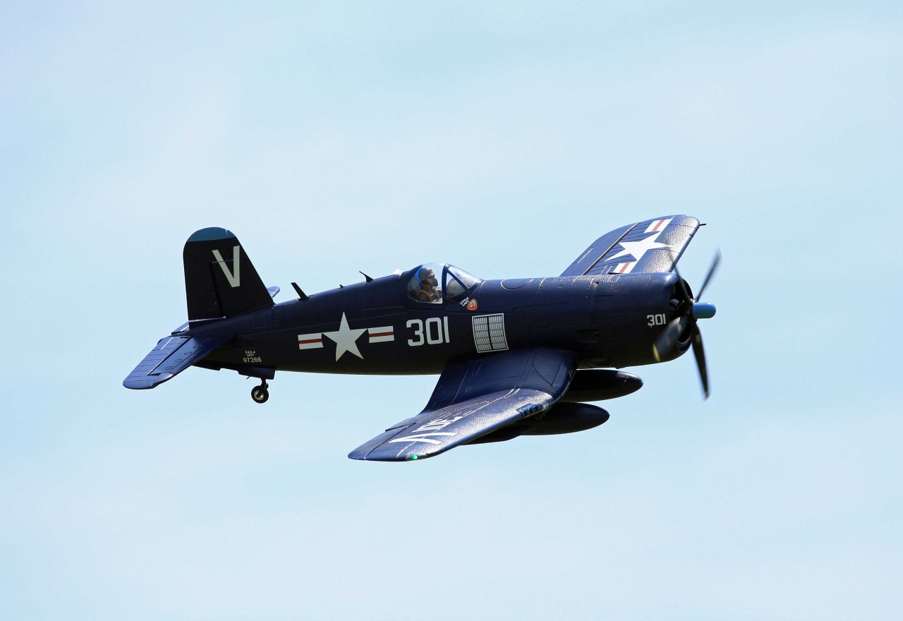 DPFMS024PBLU_1
