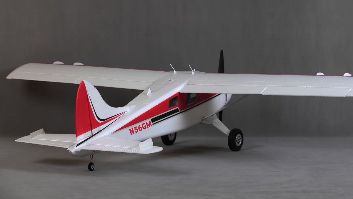 FMSBEAVERV2-2