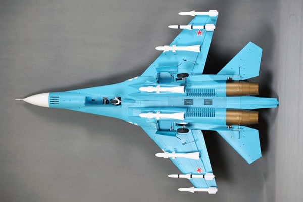 FMS_SU27_9