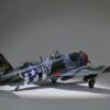 P47 Tunderbold 2