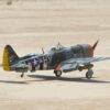 P47 Tunderbold 16