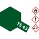 ts-43-racing-gruen-glaenzend-100ml-300085043_00