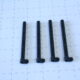 7174.JPG