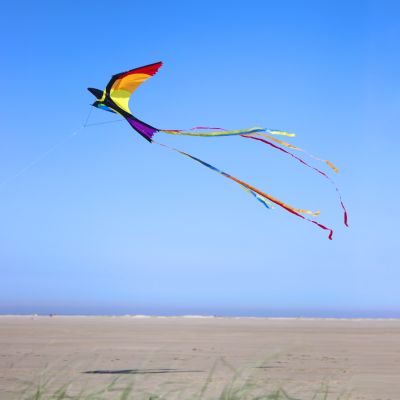 wolkenstuermer-kinderdrachen-bonny-bird-kinderdrachen-vogel_400x400.jpg