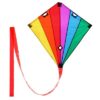 wolkenstuermer_lenkdrachen_racer_regenbogen_400x400.jpg