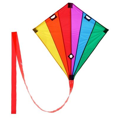 wolkenstuermer_lenkdrachen_racer_regenbogen_400x400.jpg