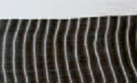311e42580c90e16f483a59d415f79531.jpg