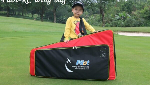 Wingbags-1-1024x580.jpg