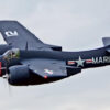 tigercat_1