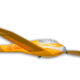 Musger-gelb-freigestellt-2