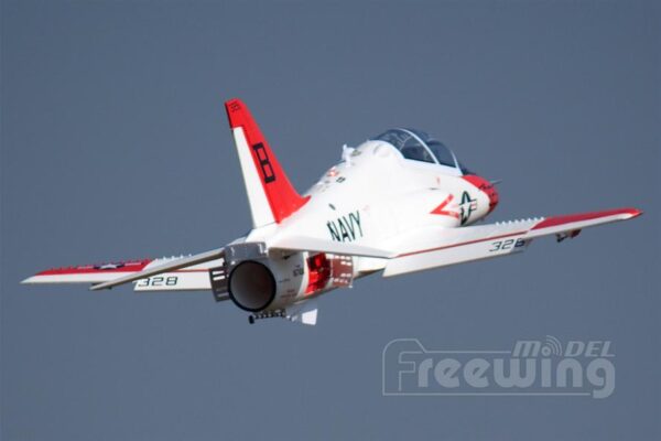 T45_3.jpg