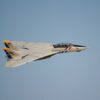 Freewing_F-14_49