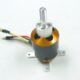 Freewing-MO136482-Motor-3648-650-Kv.jpg