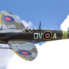 FLW303P-1-jpg FLW303P-1.jpg