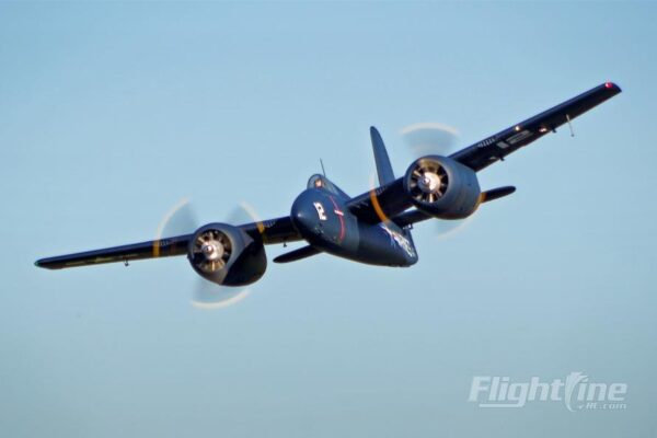 tigercat_3