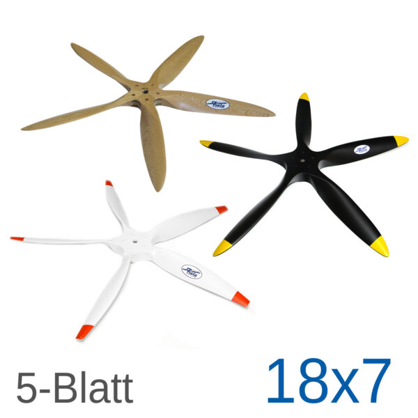 Fiala-5-Blatt_29.jpg