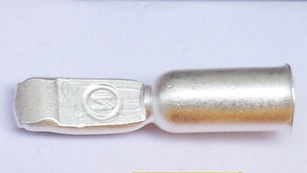 SA50.jpg