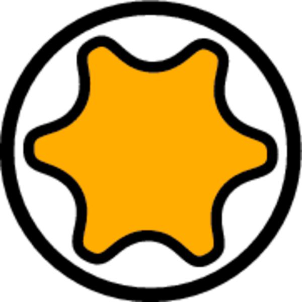 DV004-symb_antrieb_torx_600 DV004-symb_antrieb_torx_600
