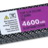 SLSXT46001225HK-back SLSXT46001225HK-back