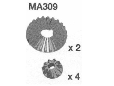 009-MA309