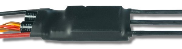 PhotoRoom-20220825_071827