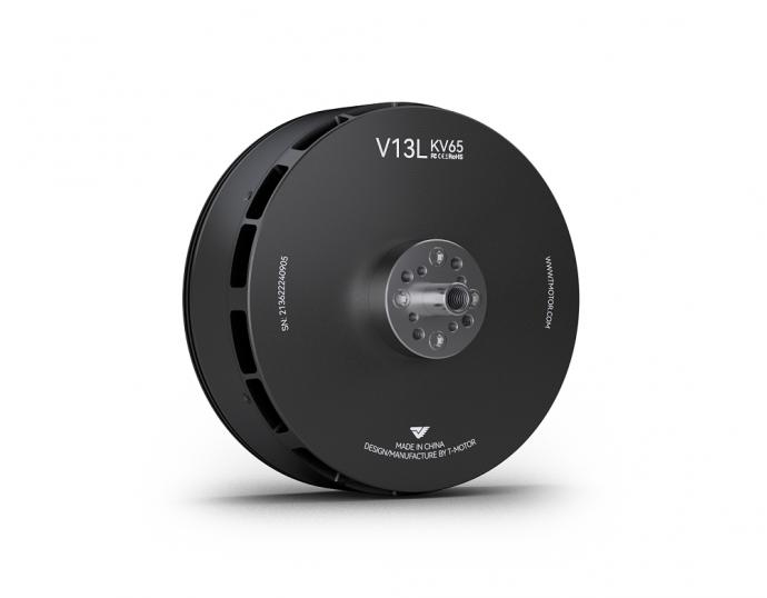V13L-2-1727228634462122186
