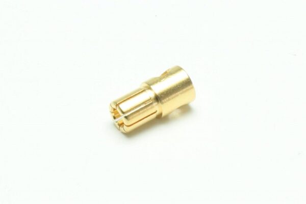 goldstecker-60mm-ve10st