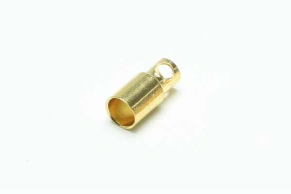 goldbuchse-60mm-ve10st goldbuchse-60mm-ve10st