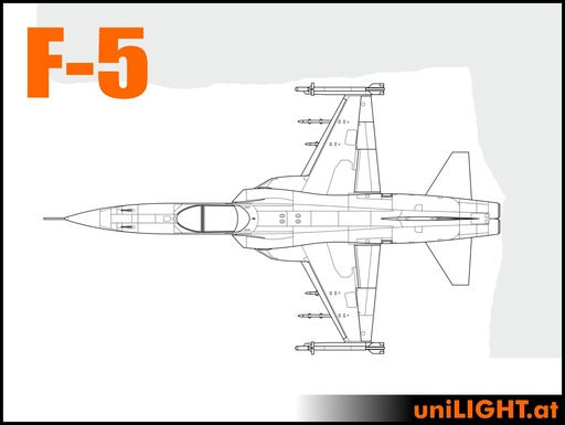 northrop-f-5-und-f-20