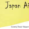 japan-air-bespannpapier-16g-gelb-500-x-690-mm-10-st japan-air-bespannpapier-16g-gelb-500-x-690-mm-10-st